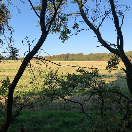 Old Hunters Lodge Whipsnade Limited 外观 照片